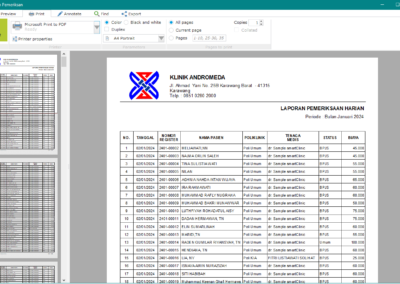 Software Aplikasi Manajemen Klinik - Contoh Laporan